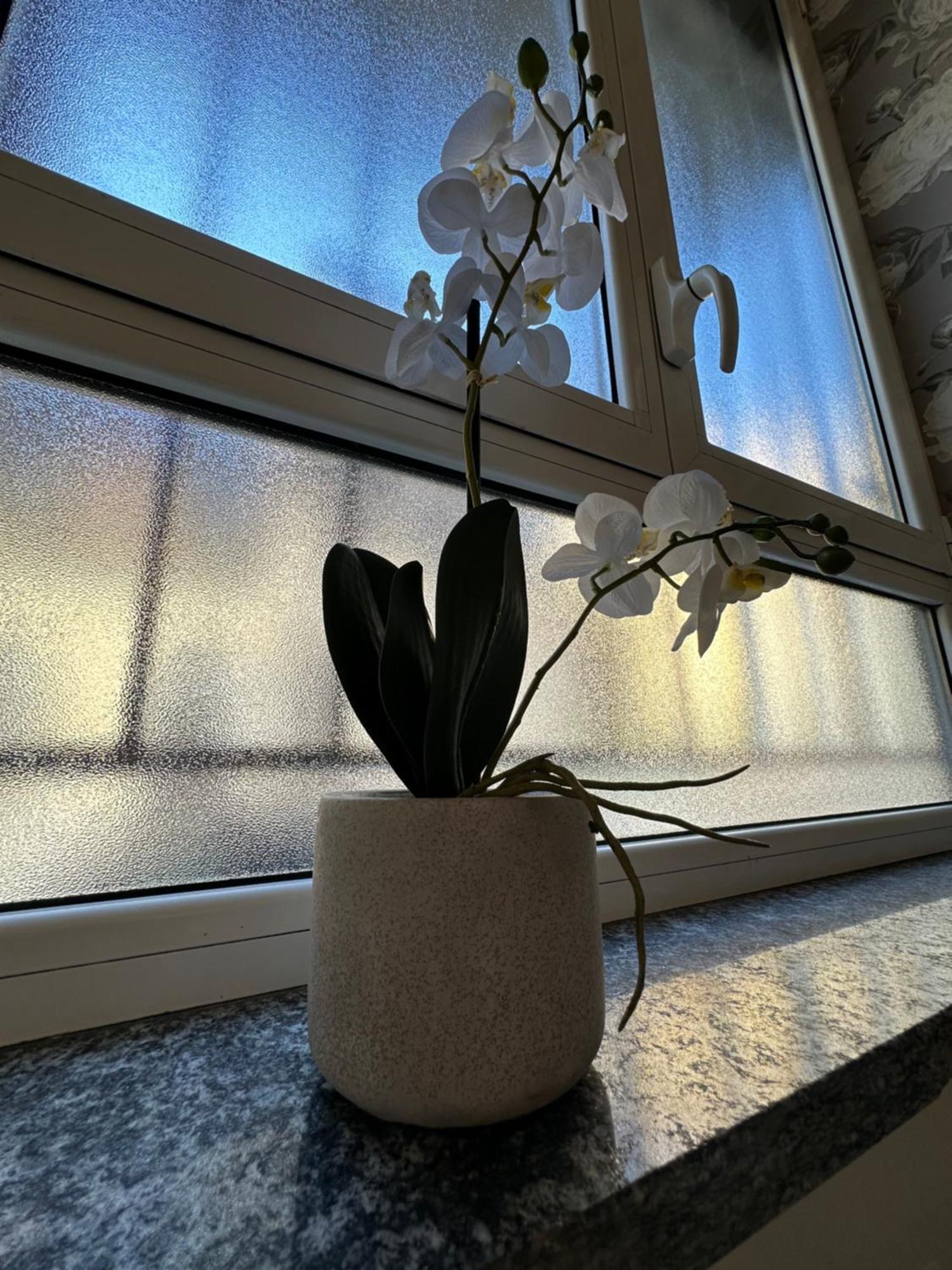 Flowers, A Cozy Suite In Milão Exterior foto